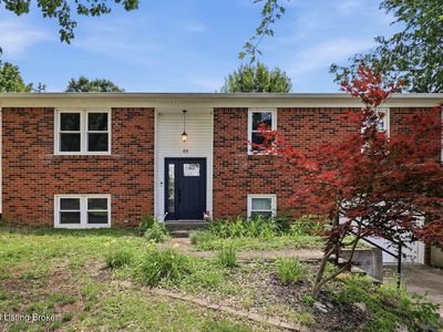 44 Tinted Cloud Cir