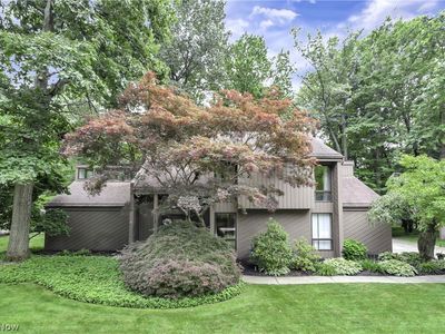 31115 Roxbury Park Dr