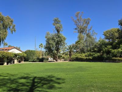 8637 E Appaloosa Trl