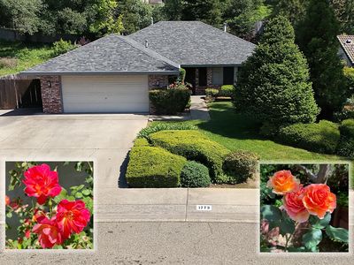 1773 Soda Springs Cir