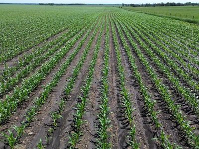 46160 State Highway 15