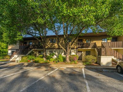 29356 Dove Haven Ct #603