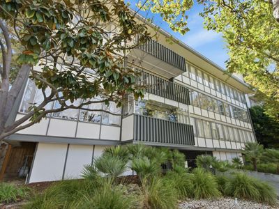 808 Laurel Ave APT 202