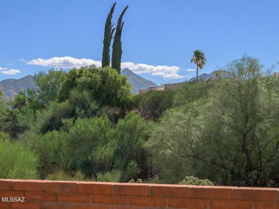 1382 W Camino Alicante