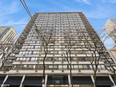 33 E Cedar St APT 17E