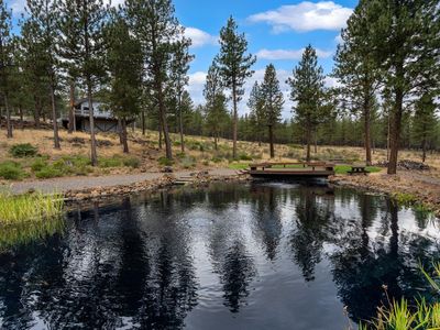 14857 Wildwing Rd