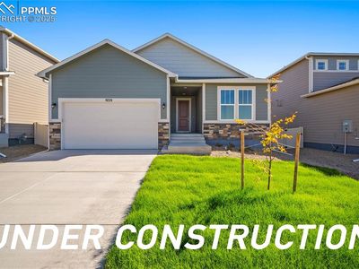 9157 Golden Buffs Dr