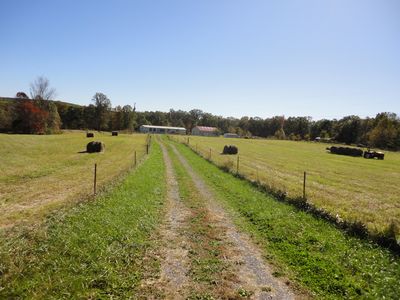 305 Deerhead Rd