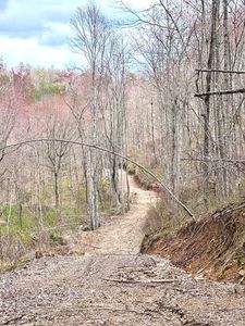 1105 Pendleton Branch Rd