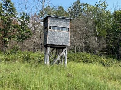 2285 County Road 437-B