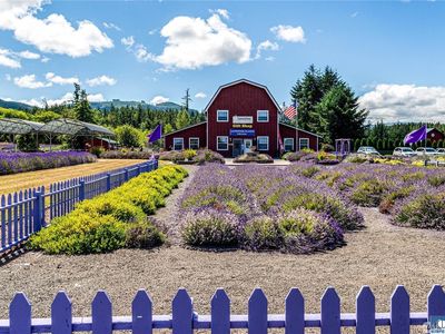 274154 Highway 101
