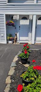 26 Walnut Street #D5