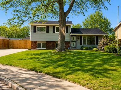 117 Galewood Dr