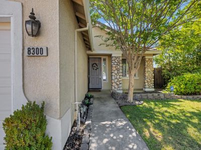 8300 White Spruce Dr