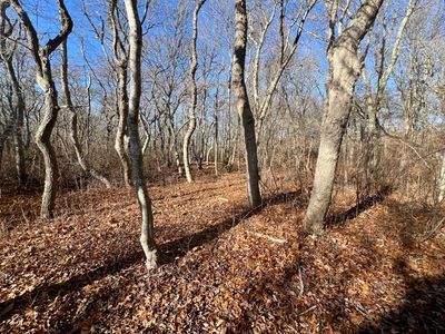 1 Old Field Rd