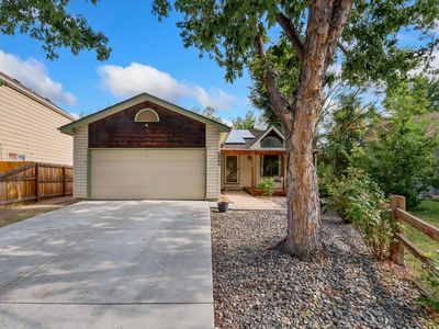6864 Harlan St