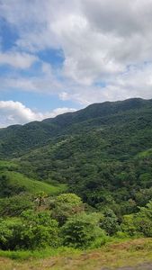 Property at 1747 Dawson Forest Rd E, Dawsonville, GA