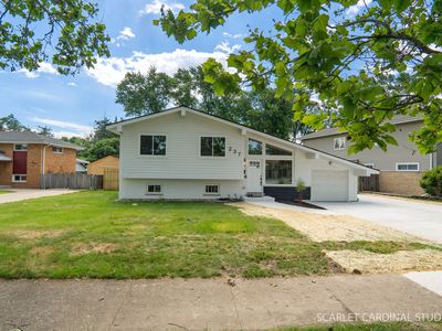237 Terry Ln
