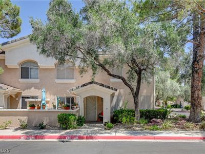 513 Amber Horizon St