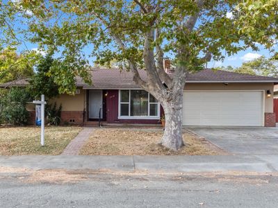 2446 Helen Avenue