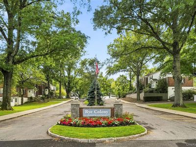 3 Peck Avenue #311A