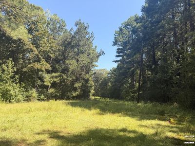 336 County Road 3992