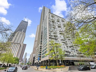 1000 N Lake Shore Dr APT 808