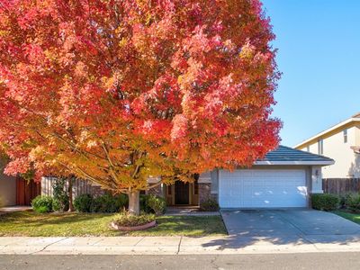 279 Alcantar Cir
