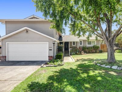 7162 Palace Cir