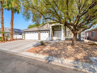 7058 Painted Paradise St