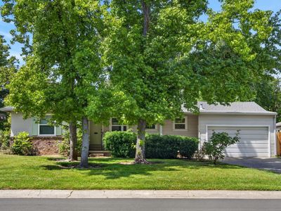 1515 Los Molinos Way