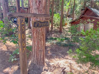 Property at 65807 N Boa Dr, Crestline, CA