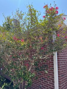 Property at 1014 Airport Rd Unit 173, Destin, FL