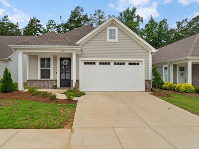 736 Turkey Oak Cv