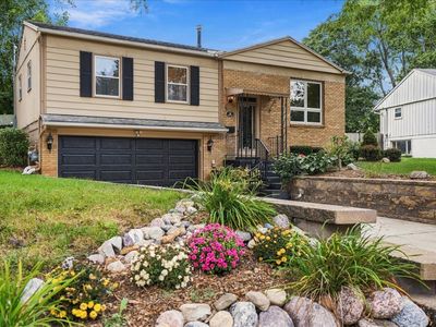 8 Plymouth Ct