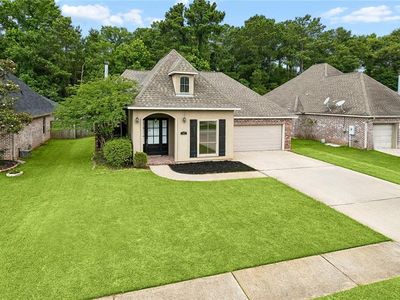 397 Brown Thrasher Loop S