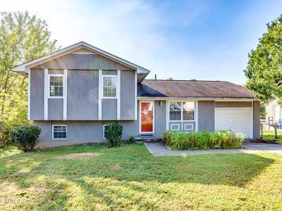 105 Tracy Ln