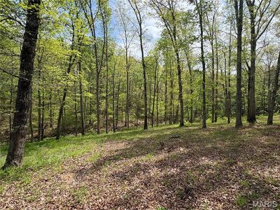 10405 County Road 700