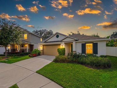 10539 Laguna Plains Dr