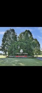 326 Dogwood Way