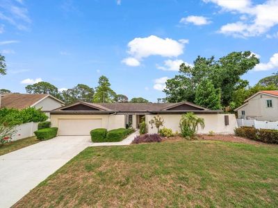 14175 Feather Sound Dr