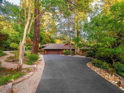 1038 Pine Ln