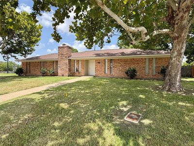 403 Lotus St