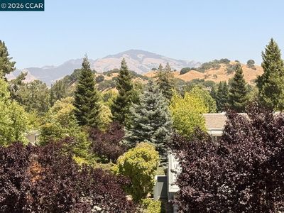 1549 Oakmont Dr APT 3