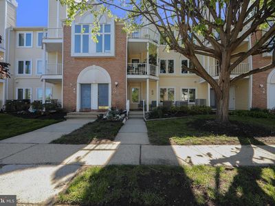 52 Natalie Ct #303