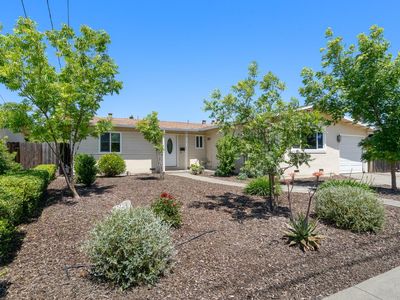 810 Laguna Street