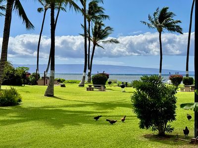 1000 Kamehameha V Hwy #A114