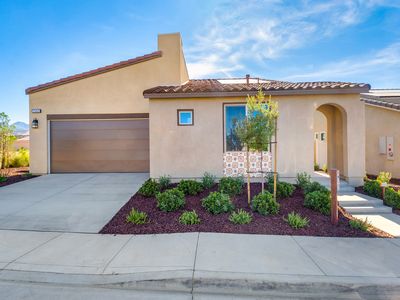 Plan 2 Plan, Vita at Altis