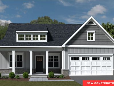 1138 Snowfield