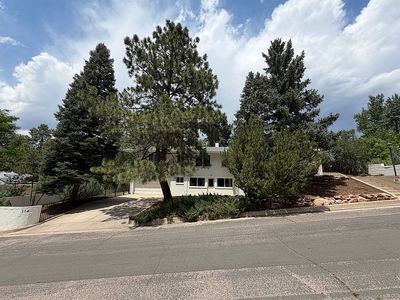 114 Wood Terrace Dr